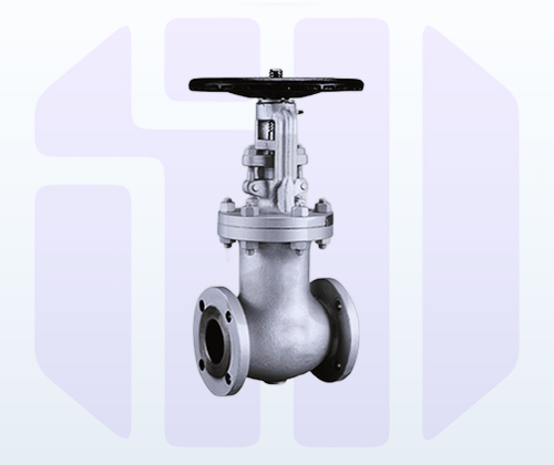 Globe Valves — Bellow Sealed